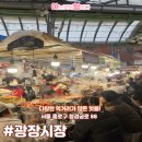 배진HAUS