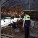 단양경찰서 매포파출소 이미지