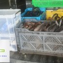 시흥컴퓨터 이미지
