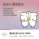 세움 | 2026학년도 수능 with ⭐️ 세움여학사 후기~~!