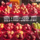 마천2 공영주차장 | 일산역 일산시장 장날 오일장 주차 공영주차장 2월 8일 다녀온 후기