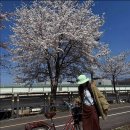 황보식당 이미지