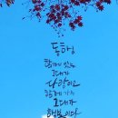 🌸🌸🌸핑크뮬리 가득한 797기동기방 10월11일(금)출부시작합니다🌸🌸🌸 이미지