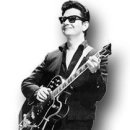 Roy Orbison ft. Royal Philharmonic Orchestra - A Love So Beautiful 이미지