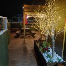 24게스트하우스 신촌에비뉴엘점 이미지