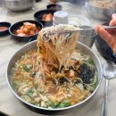 국수의진수 | 제주 국수의 원조 제주 파도식당 후기, 시청 주변 도민 맛집 리스트