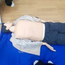 진도개 53카페 | 진도 국민해양안전관과 진도개테마파크(진도 아이와 가볼만한곳)