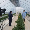 한경대학교부속농장 이미지