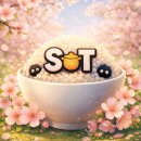 아 내가 19기라면 SOT에 올텐데 ⭐️ 이미지