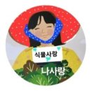 육오감