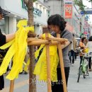 중앙로가로수 이미지