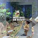 지노커피 - 목포시 장미로 67 | 부산 판타와지노 시즌3 후기🦖 (39개월 아이 반응은?)