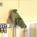 우리집 작은숲 네이버블로그