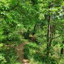 구봉산 어사길 이미지