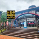 산림문화체험관 | 청양 실내 가볼만한곳 청양군목재문화자연사체험관 후기(25년6월)