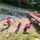 동촌유원지 녹수대 이미지