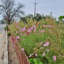 구불2길(햇빛길) | 군산 구불2길(햇빛길) 완주