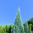 태림농원 이미지