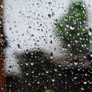 마음봄정신건강의학과의원 이미지