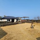 조금 불편해도 괜찮아 | [제주도]부모님과 2박3일 제주도 여행 _ 1일차