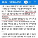 보배다방 이미지