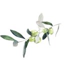 에스바(S bar) 이미지