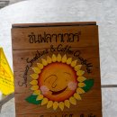 선플라워 | 치앙마이 아사이볼 맛집 비교 쿤캐쥬스바 선플라워 솔직 후기