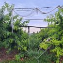 김수곤농장 이미지