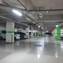 불광초등 이미지