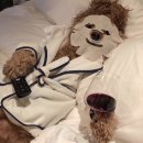 만세의료기 이미지