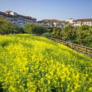 호텔 베이직 이미지