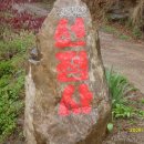 선명사