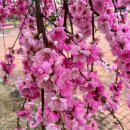 도진리마을회관 이미지