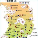 광양온천장 Daum카페