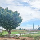 저동마을회관 이미지