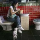 테마레스토랑 이미지