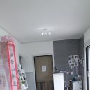 멍루아 펫살롱 이미지