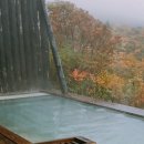 원효유치원 이미지