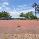 무궁화어린이공원 수 이미지