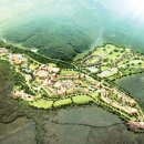 토브랜드 이미지