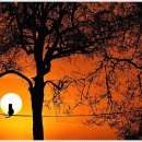 하늘 빛 꿈 이미지