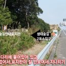 서성로입구(남조로방면) 이미지