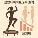 훅점핑 | 점핑다이어트 후기에서 공통으로 말하는 체지방 변화, 왜 2주 차에 확 오를까