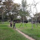 비엔날레당구장 이미지