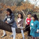 동백유치원 이미지