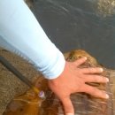 남해가족민박 이미지