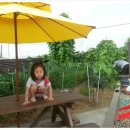 꽃피는민박 이미지