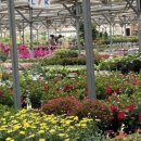 화원농장4 이미지