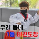 드림하이태권도장 이미지