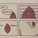 신안교 - 고성군 | 신안교